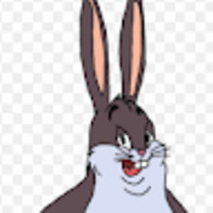 Meet your Posher, Lasso